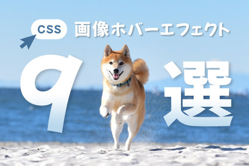 【CSS】画像をホバーした時のパターン集(9種類)